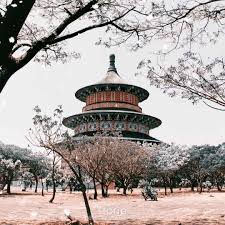 rental motor surabaya pagoda rental motor surabaya pagoda