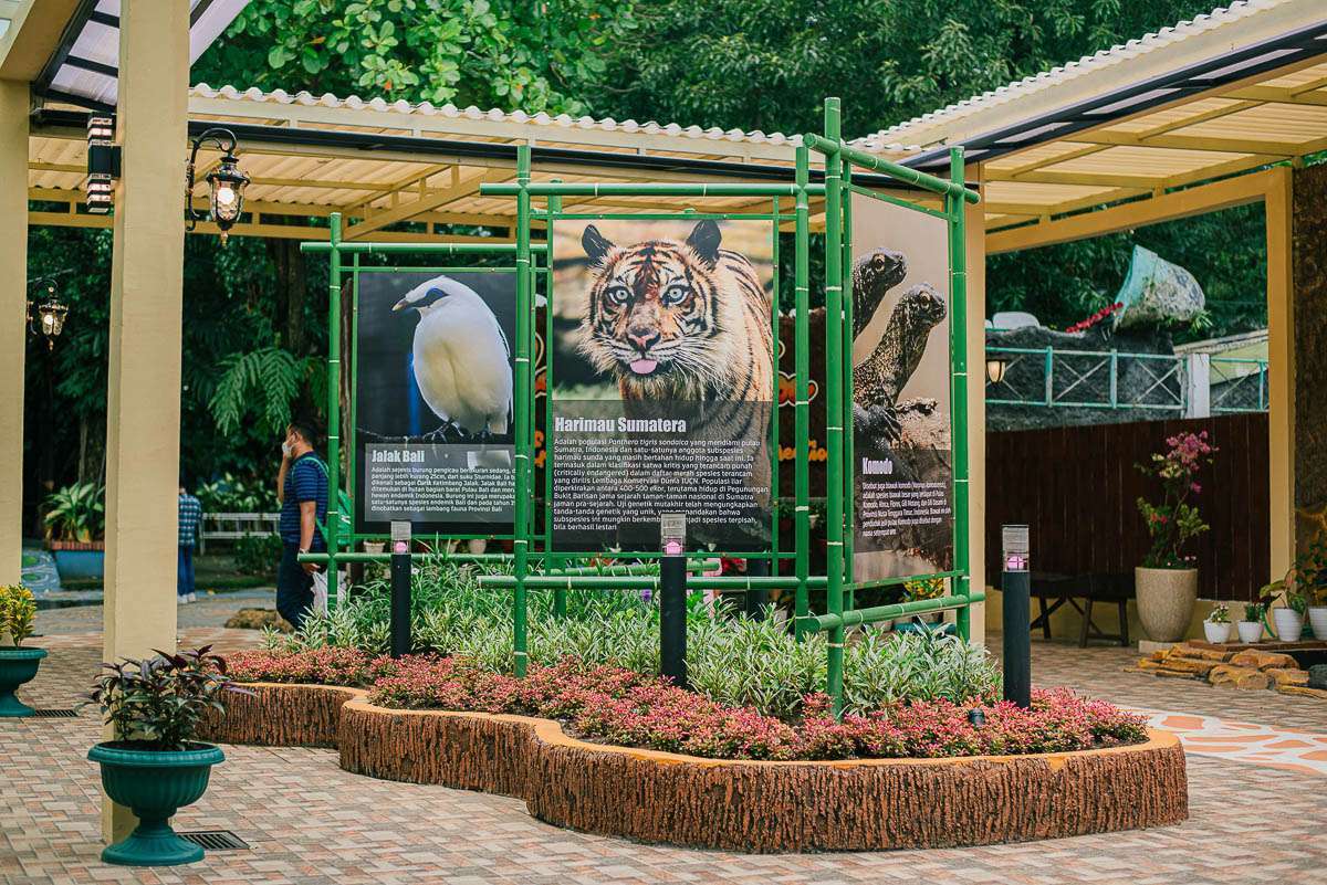 Kebun Binatang Surabaya: Destinasi Wisata Edukasi dan Rekreasi